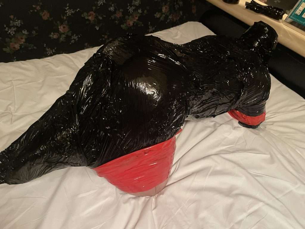 拘束マニアなフェチクランケにヒトイヌマミフィケーション痴療