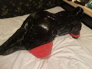 拘束マニアなフェチクランケにヒトイヌマミフィケーション痴療